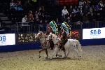 Quadrille - 00234